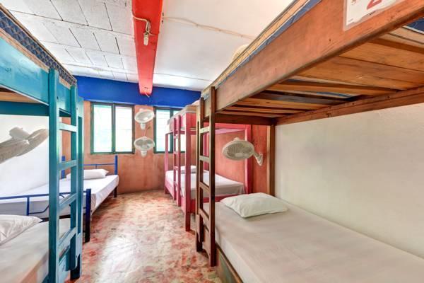 Hostel Playa Плайя-дель-Кармен Номер фото